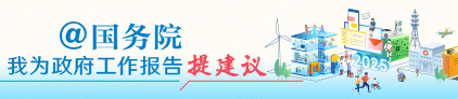 我為政府工作報告提建議